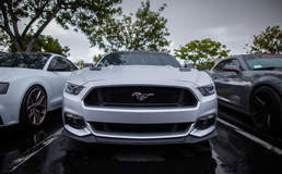 The Auto Salon Grand Opening