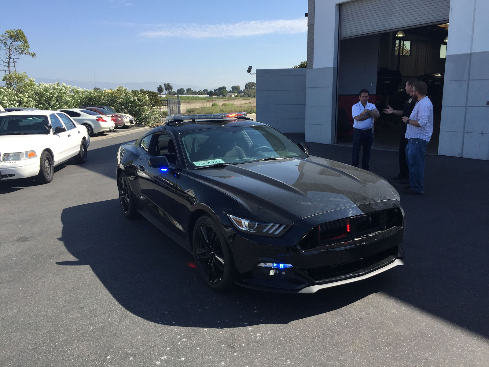 2015 Ford Mustang | 2015 Ford Mustang Fastback by Dragg