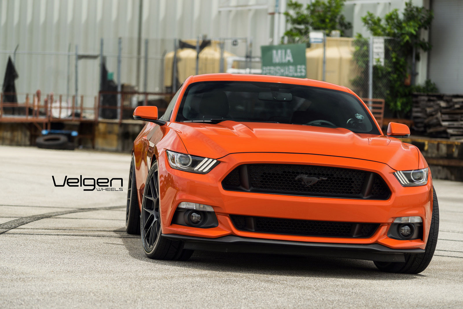 2016 Ford Mustang | Competition Orange Mustang GT on Velgen Wheels 