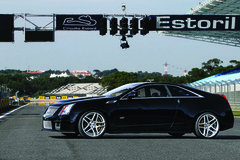 Caddy CTS on Ruff R954's