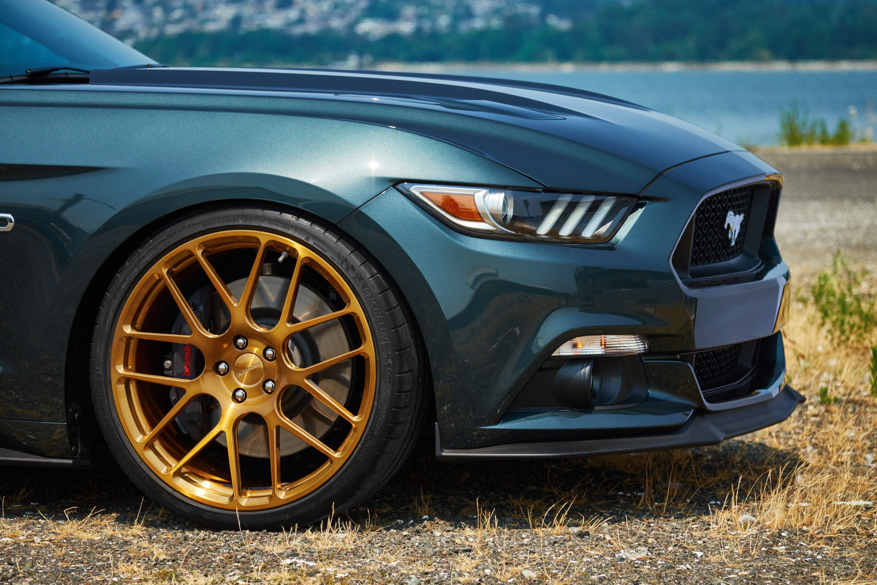 2015 Ford Mustang | H&R Springs Mustang on Forgeline SE1 Wheels - Passenger Wheel