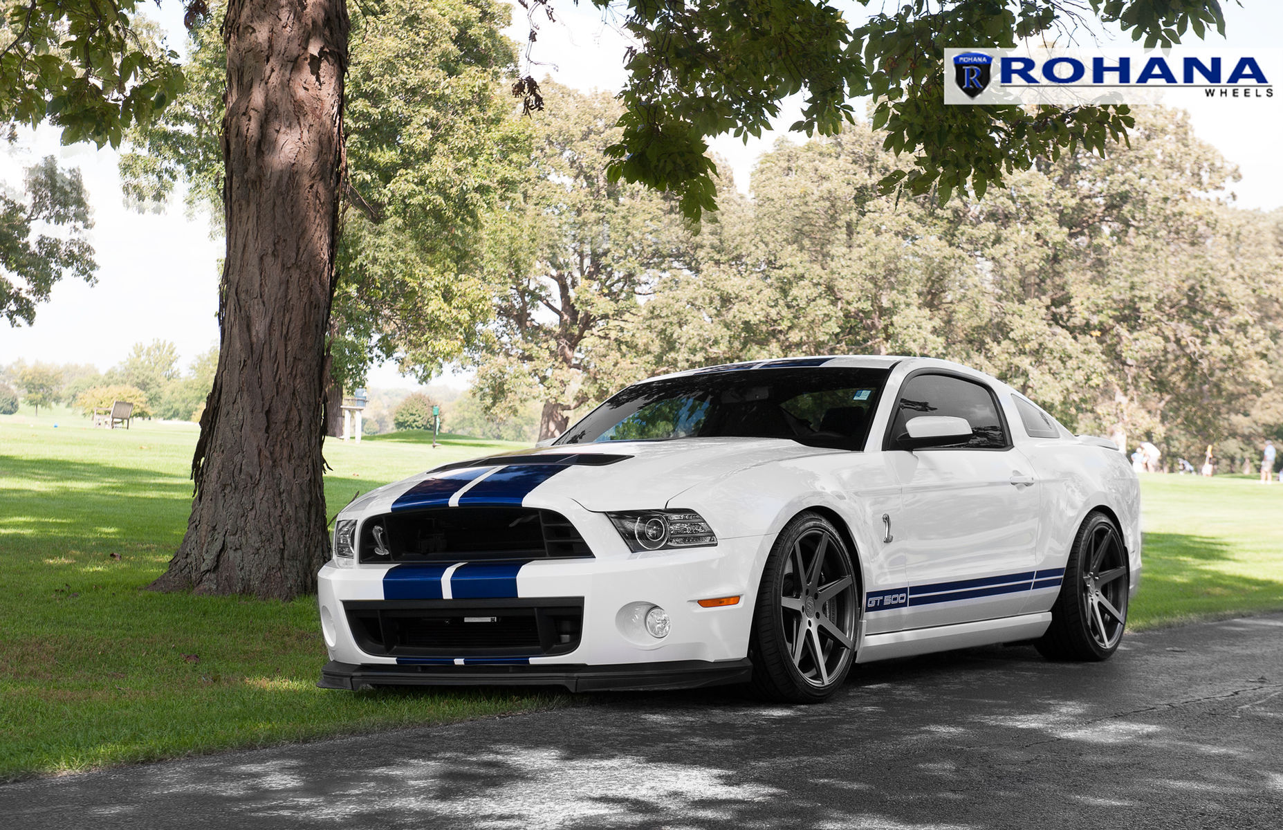  Ford Shelby GT500 | Ford Mustang GT500