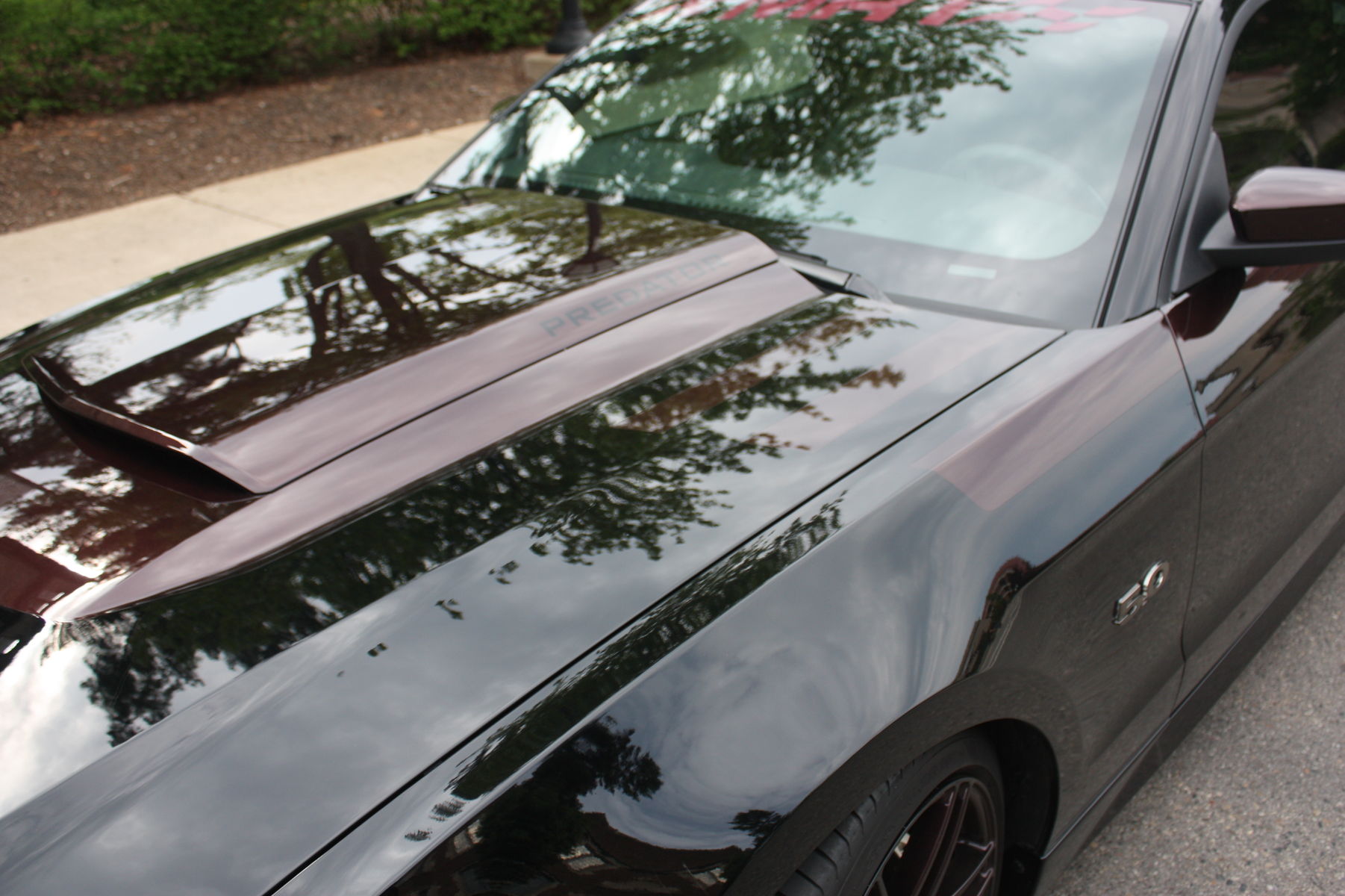 2011 Ford Mustang | MRT Predator