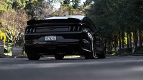 Mustang Ecoboost