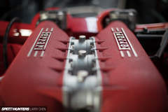 Beauty Shot