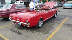 Mustang
