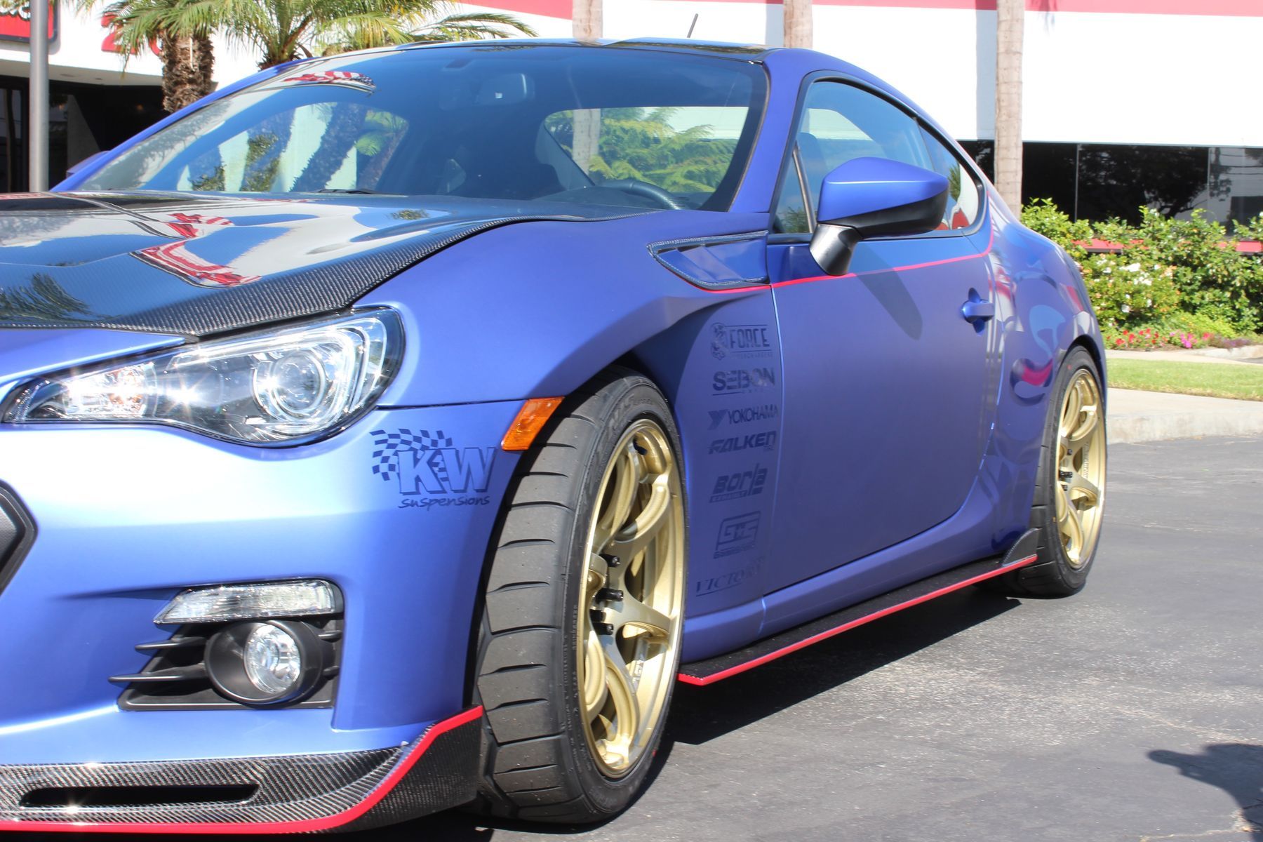 | BRZEF1