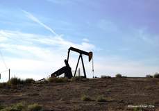Bakersfield Oil