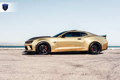 Chevy Camaro - Driver Side View