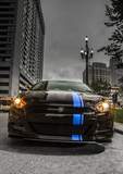 2013 Mopar Edition Dodge Dart