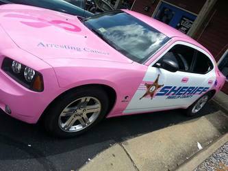 2007 Dodge Charger | Amelia County Sheriff's Dept.