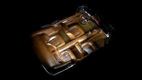 Alligator Skin Interior