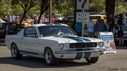 1966 Ford Mustang Shelby GT350