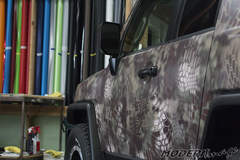 FJ Cruiser Mandrake Kryptek Camo