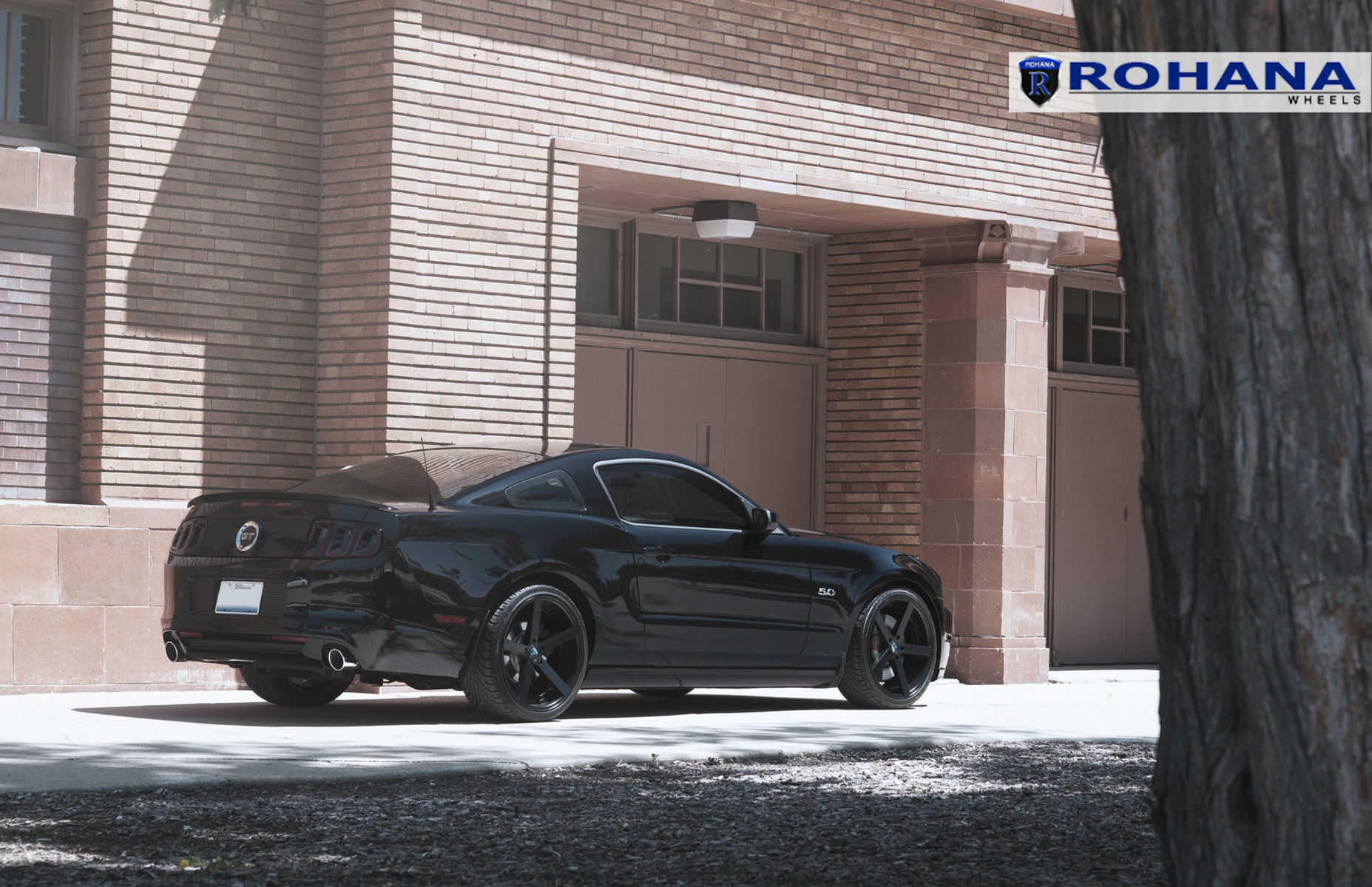  Ford Mustang | Ford Mustang