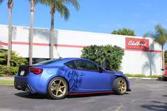 BRZEF1