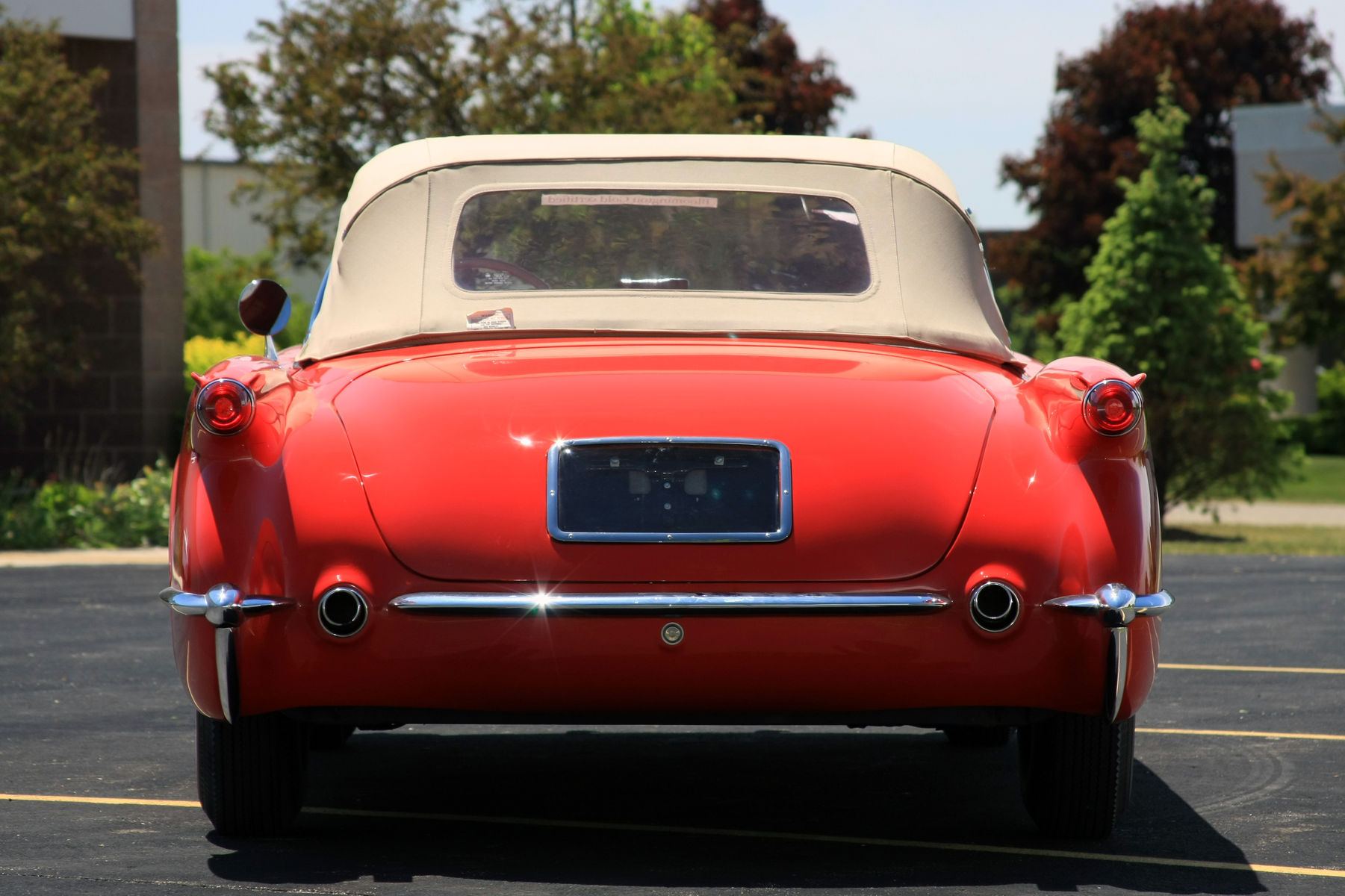1954 Chevrolet Corvette | 1954 Chevrolet Corvette - Rear