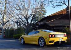Ferrari Newcomer