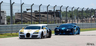 goldRush Rally 7