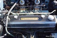 AH Motor