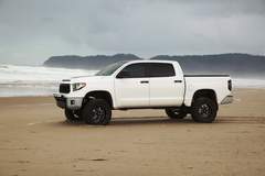 Timmon's Tundra