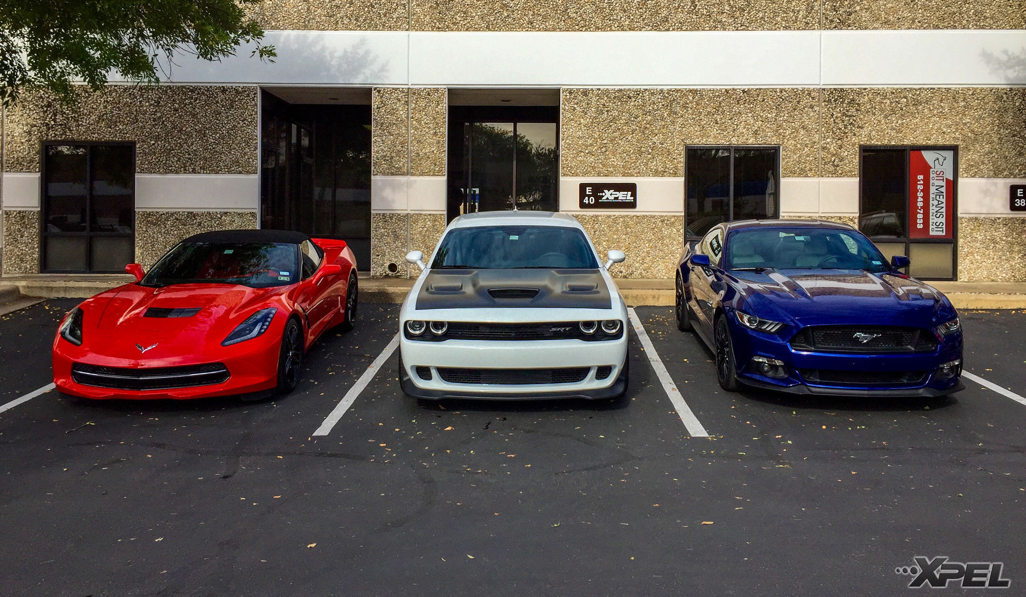 2015 Dodge Challenger | Line up out front at XPEL Austin