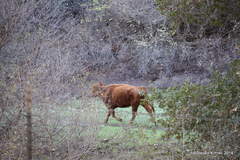Hollister Hills Resident 