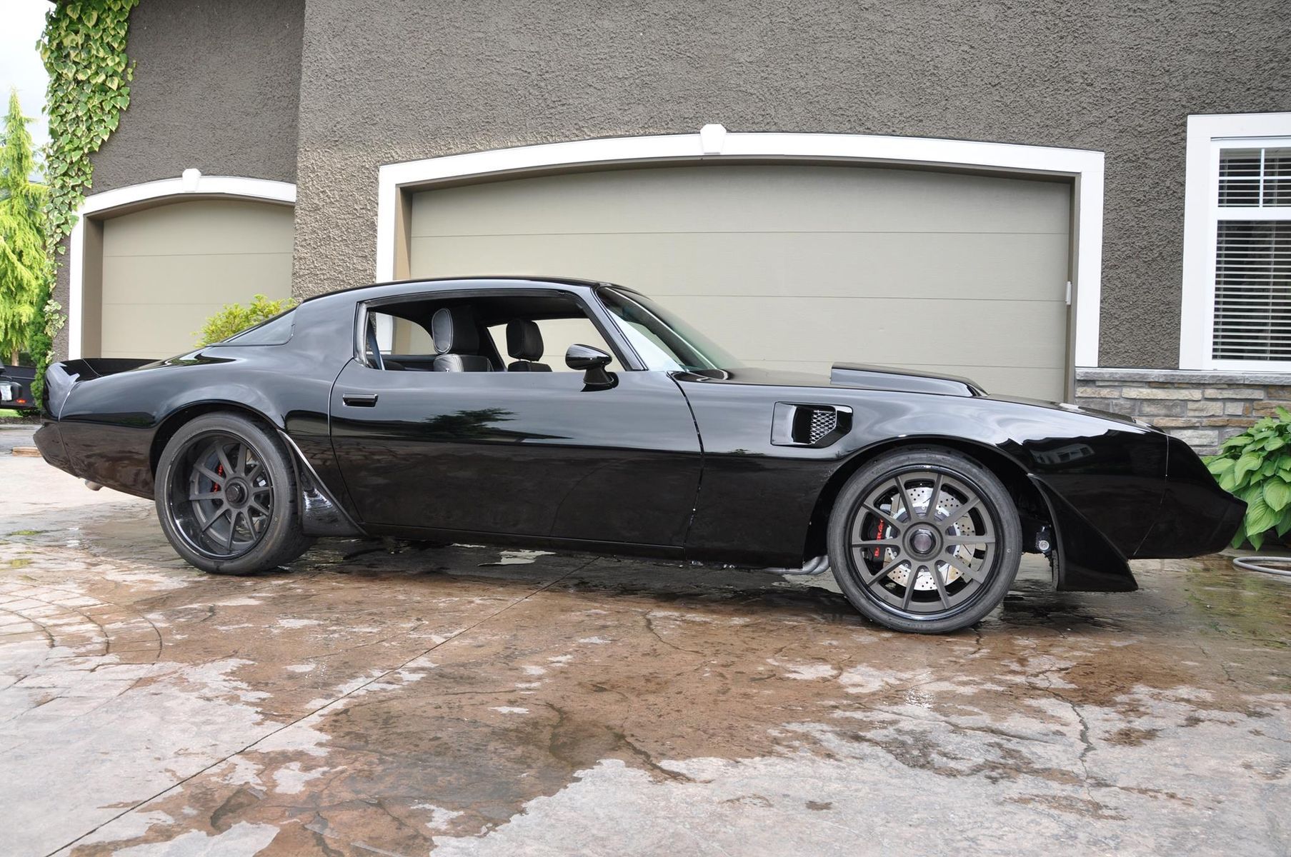 1981 Pontiac Firebird | Steve's