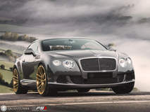 Quantum44 FS1 Satin Gold - Bentley Continental GT