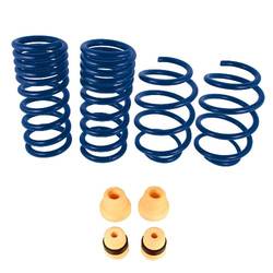 Ford Performance Lowering springs - M-5300-Y