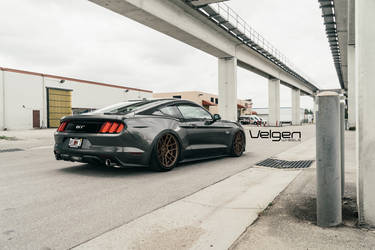 2015 Ford Mustang | Bagged S550 on Satin Bronze Velgen Wheels 