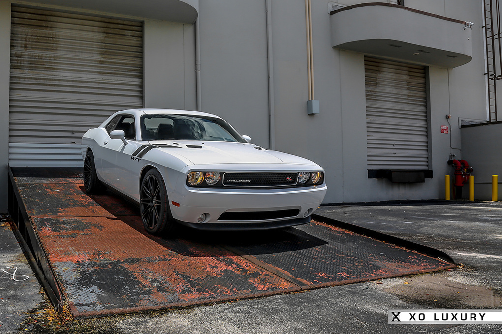 2013 Dodge Challenger | '13 Dodge Challenger on XO Milan's