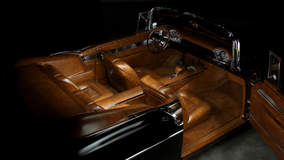 Alligator Skin Interior