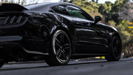 Murdered Mustang