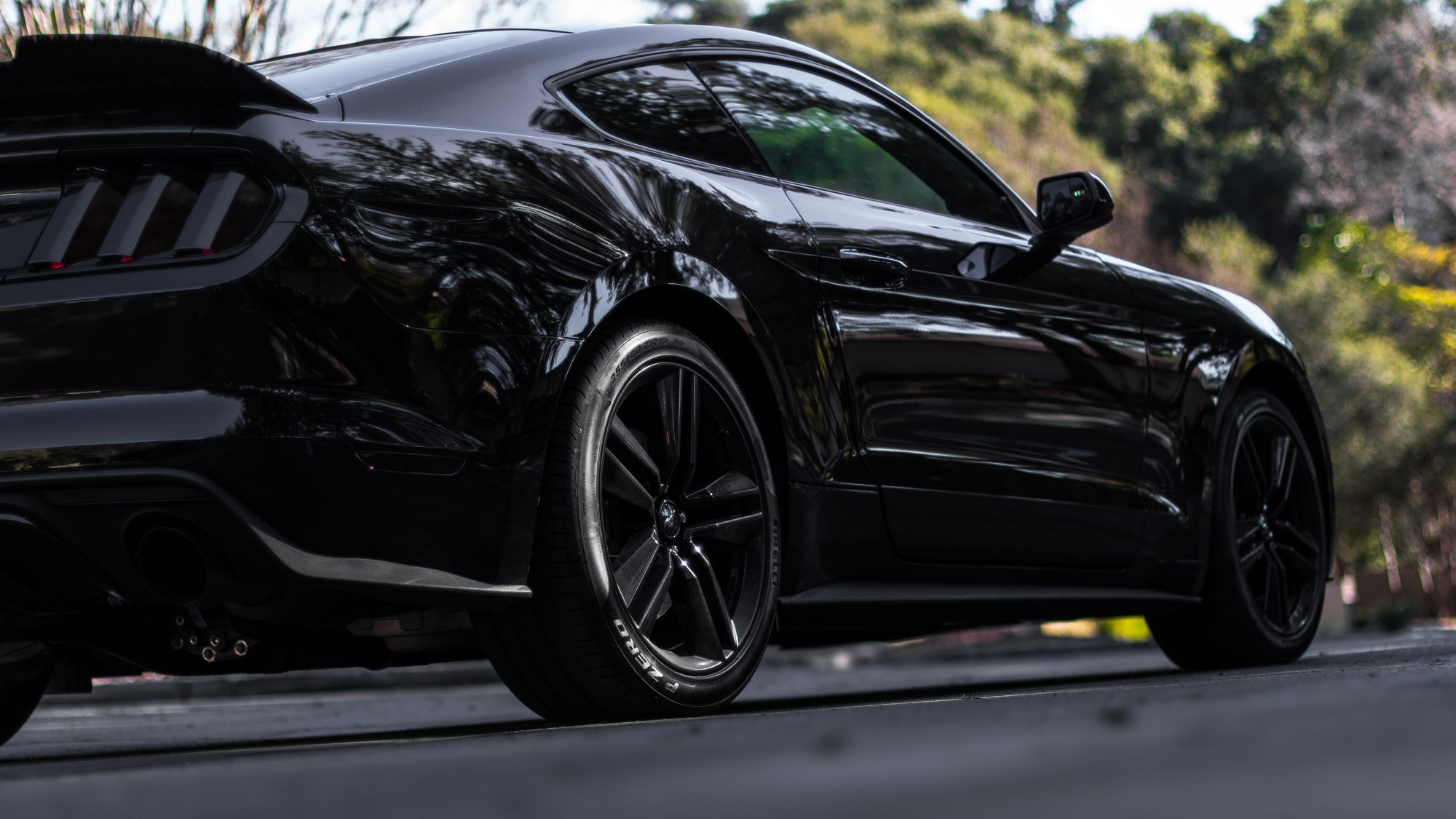    | Murdered Mustang