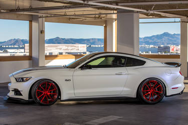 2015 Ford Mustang | 2015 Motoroso Ford Mustang Outside Side