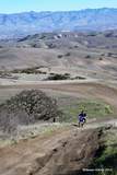 Hollister Hills