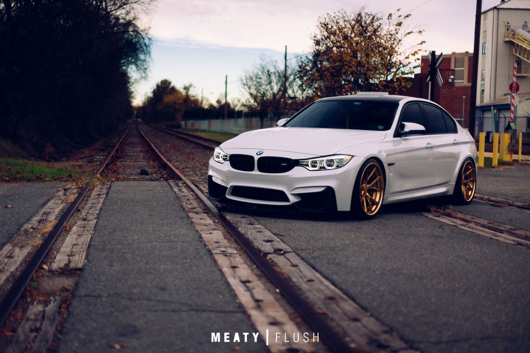 2015 BMW M3 | BMW M3 Sport 5V Concave
