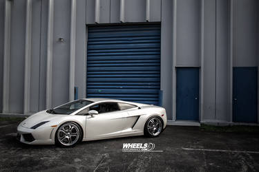 2009 Lamborghini Gallardo | OUR CLIENT'S LAMBORGHINI GALLARDO WITH 19" ASANTI AF-173 WHEELS