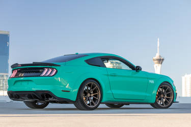 2018 Ford Mustang | Roush 729 Widebody Mustang by Roush Performance - Side Stance Shot FordSEMA 