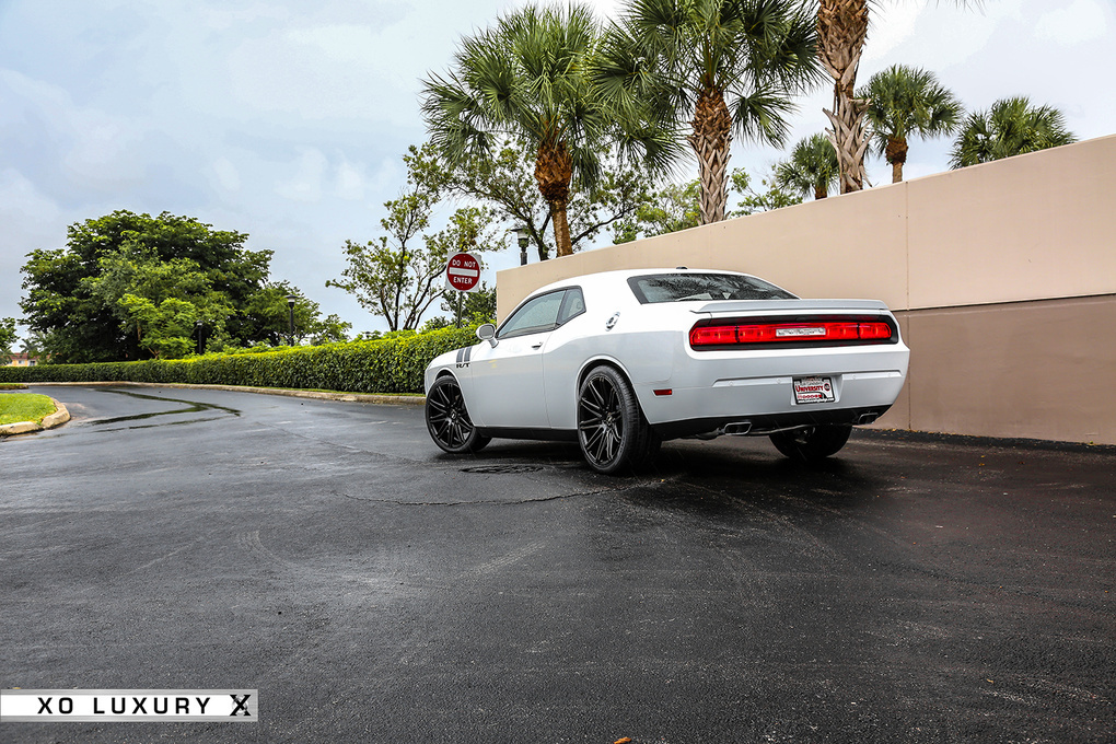 2013 Dodge Challenger | '13 Dodge Challenger on XO Milan's