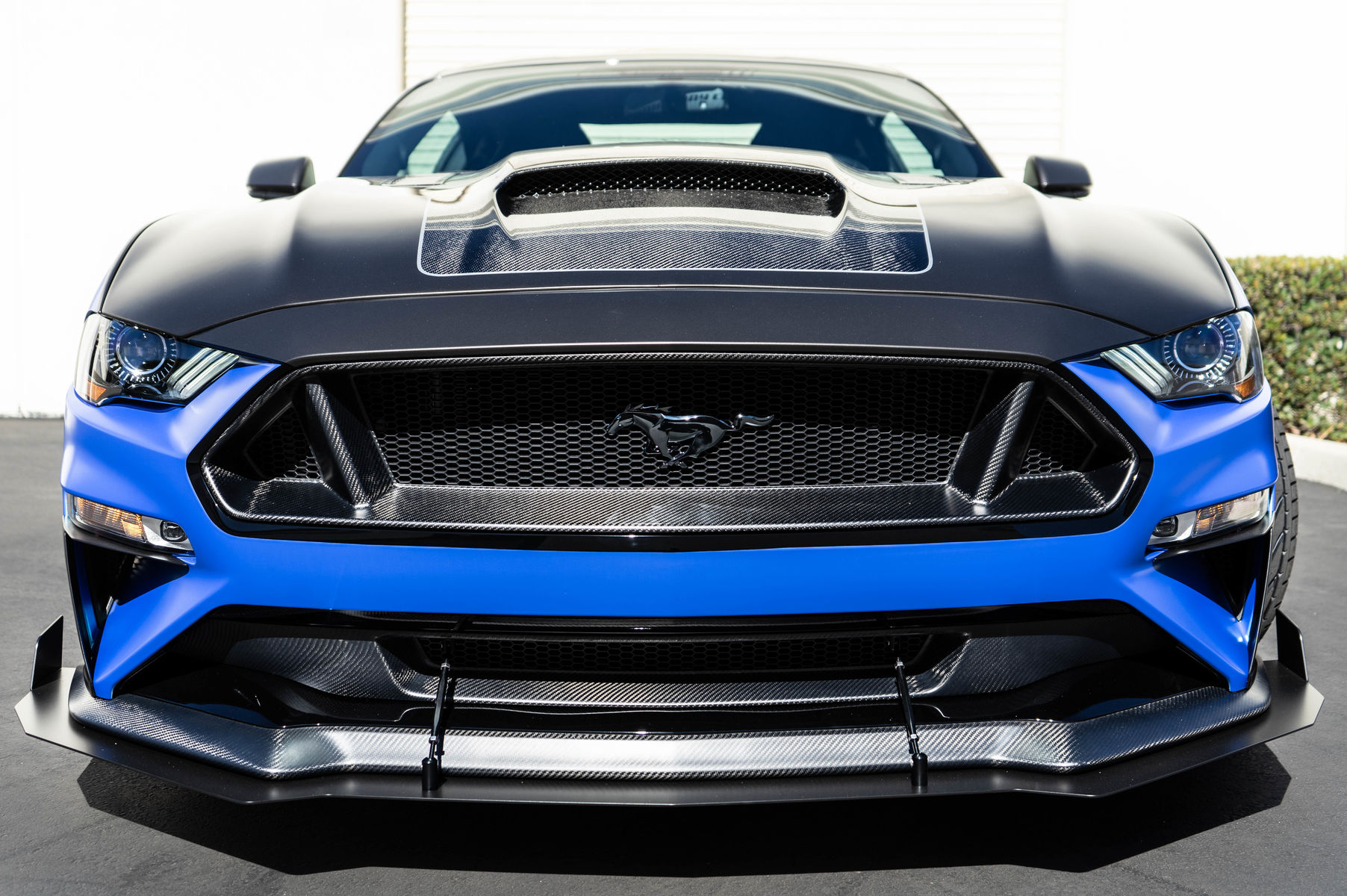 2019 Ford Mustang | 2019 Ford Mustang GT Fastback By California Pony Cars - Front head on shot
