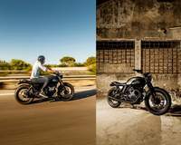 Macco Motors Mr. Green
