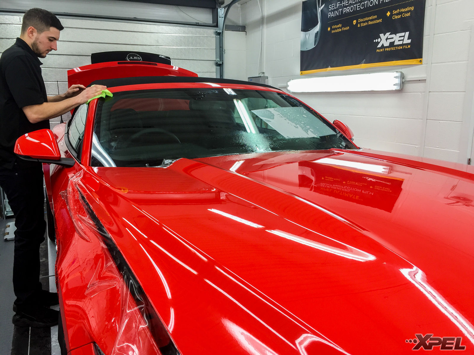 2016 Ford Mustang | Recent installations from XPEL United Kingdom