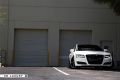 '12 Audi A8 on XO Miami's