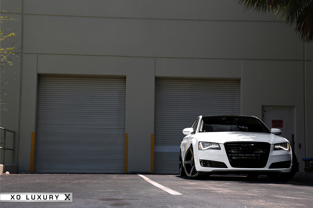 2012 Audi A6 | '12 Audi A8 on XO Miami's