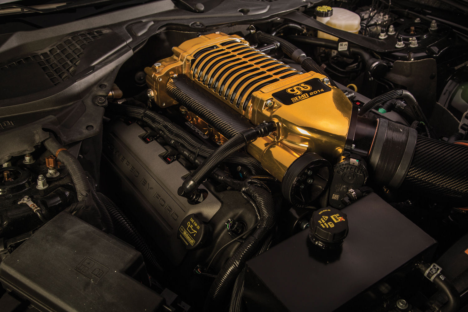 2015 Ford Mustang | 2015 Black Gold Mustang Engine