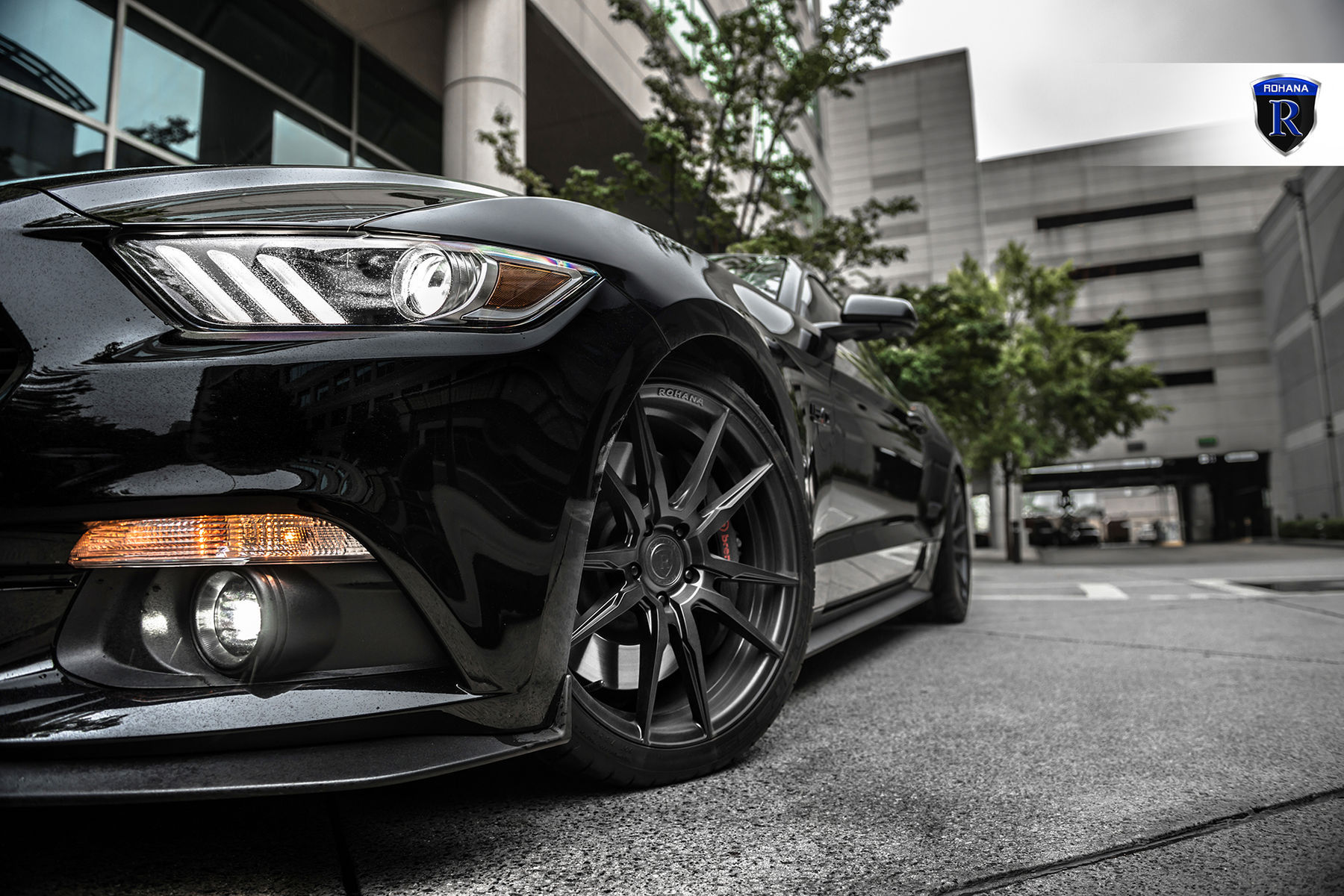  Ford Mustang | Ford Mustang