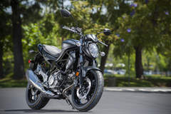 Suzuki Gladius SFV650