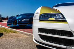 goldRush Rally 7
